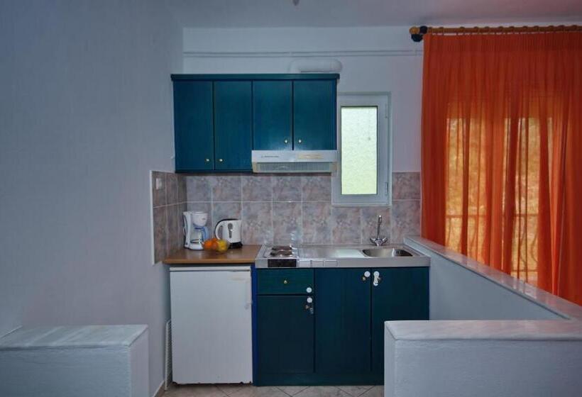 آپارتمان 1 خوابه با چشمانداز دریا, Studios Nelli Alonissos