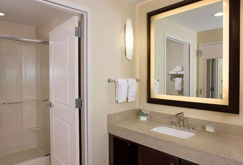 スイート, Homewood Suites By Hilton Dallas Downtown, Tx