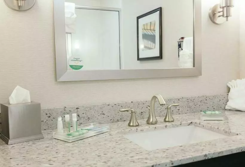 キングサイズベッドのスタンダードルーム, Holiday Inn And Suites East Peoria, An Ihg