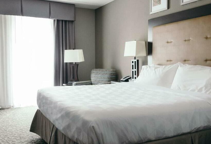 חדר סטנדרט עם מיטת קינג, Holiday Inn And Suites East Peoria, An Ihg