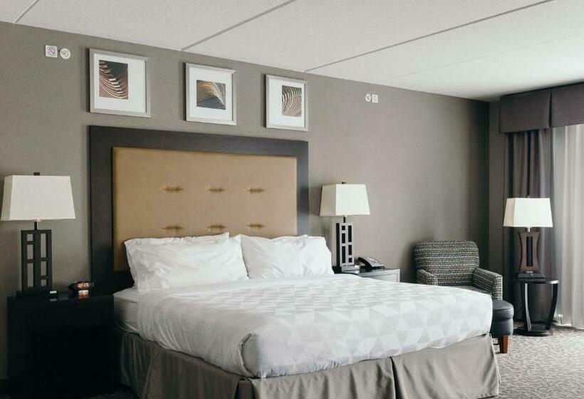 חדר סטנדרט עם מיטת קינג, Holiday Inn And Suites East Peoria, An Ihg