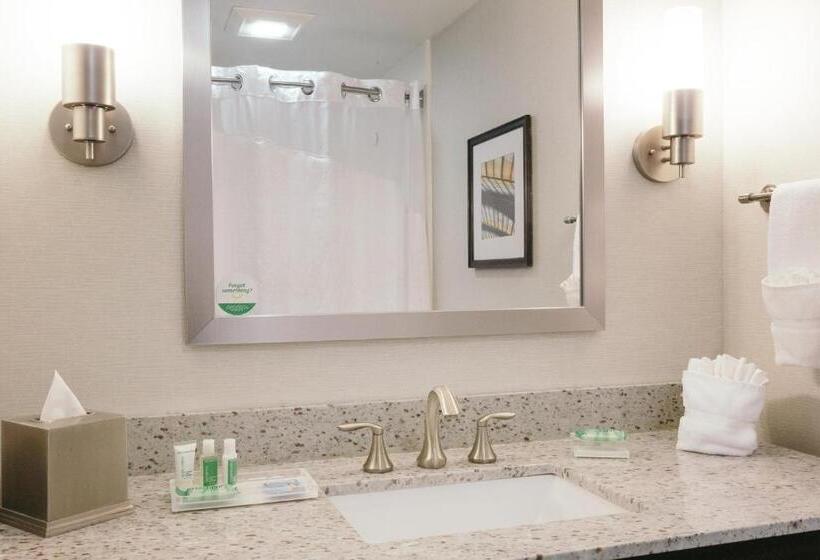 חדר סטנדרט, Holiday Inn And Suites East Peoria, An Ihg