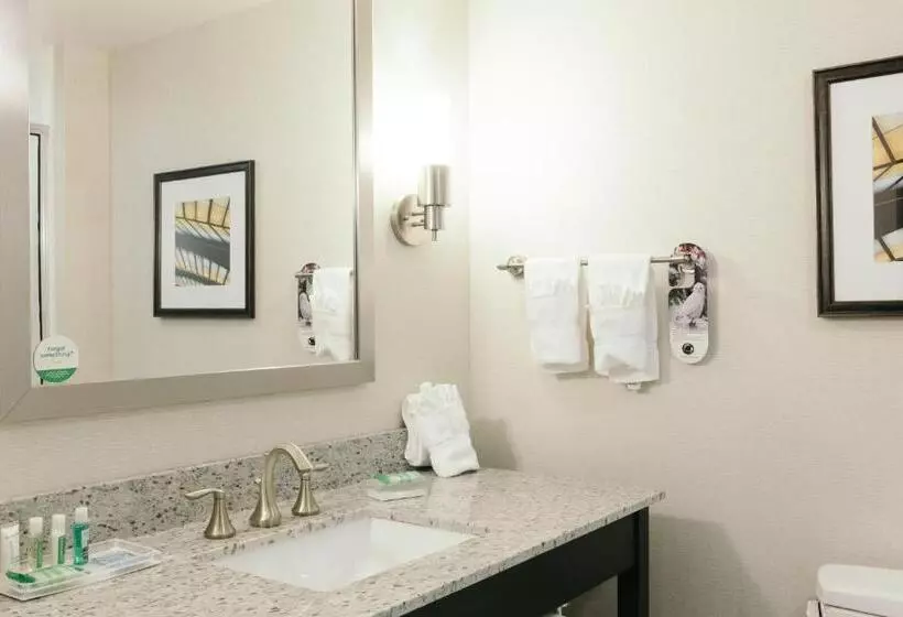 キングサイズベッドのスイートルーム, Holiday Inn And Suites East Peoria, An Ihg