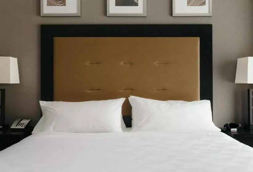 キングサイズベッドのスイートルーム, Holiday Inn And Suites East Peoria, An Ihg