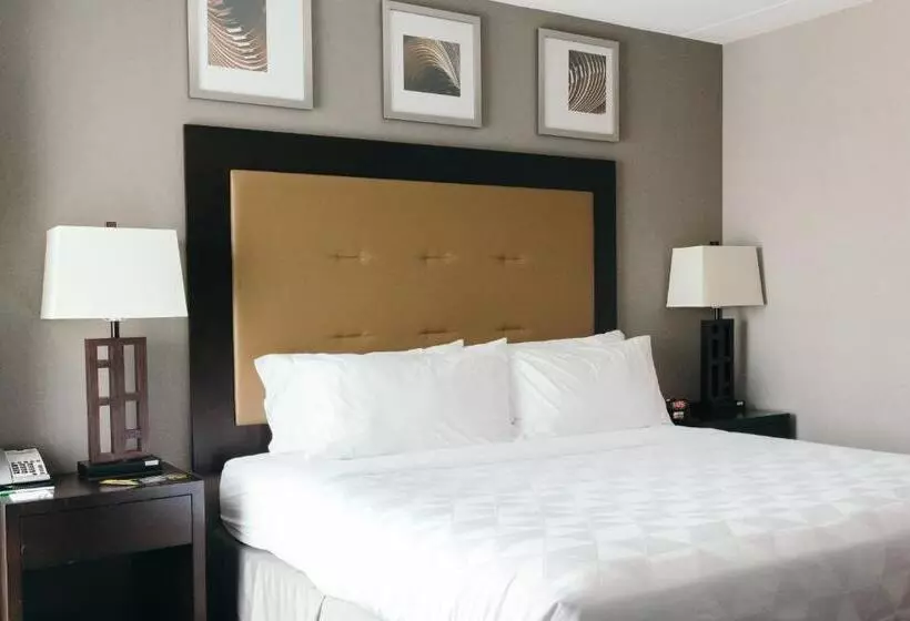 スイート（家族用）, Holiday Inn And Suites East Peoria, An Ihg