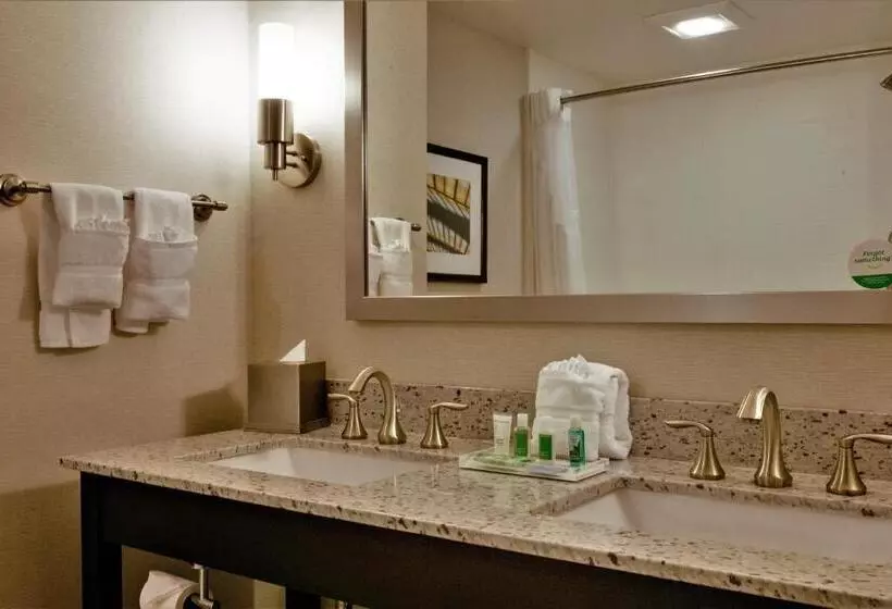 スイート（家族用）, Holiday Inn And Suites East Peoria, An Ihg