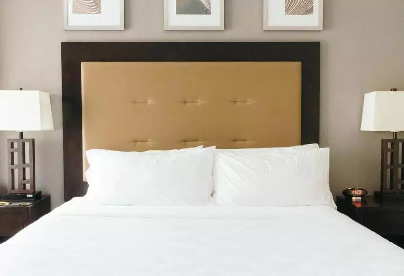 スイート（家族用）, Holiday Inn And Suites East Peoria, An Ihg