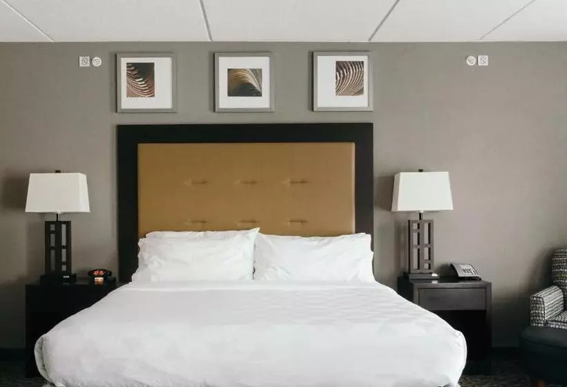 身障者適用キングサイズベッドルーム, Holiday Inn And Suites East Peoria, An Ihg