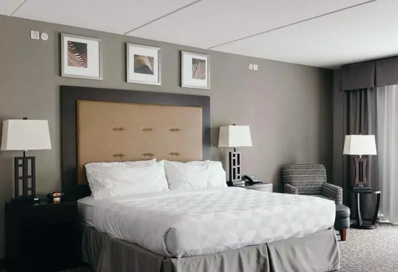 身障者適用キングサイズベッドルーム, Holiday Inn And Suites East Peoria, An Ihg