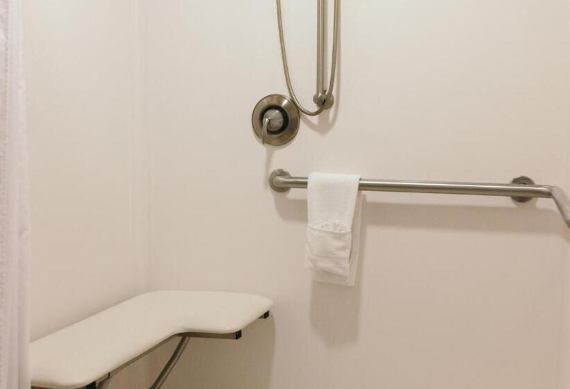 身障者適用キングサイズベッドルーム, Holiday Inn And Suites East Peoria, An Ihg