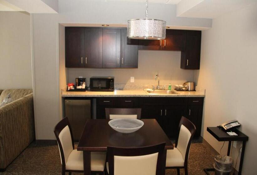 スタンダードルーム, Holiday Inn And Suites East Peoria, An Ihg