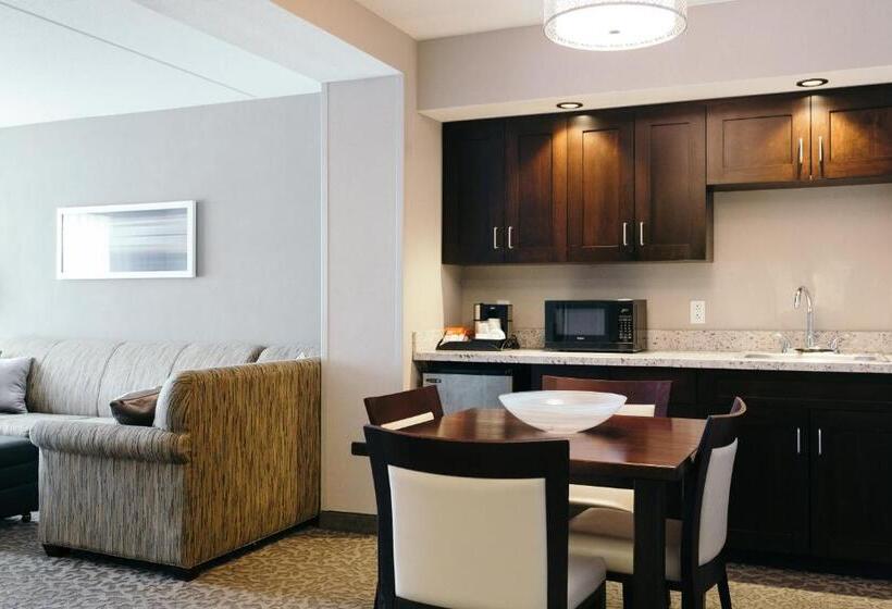 חדר סטנדרט, Holiday Inn And Suites East Peoria, An Ihg