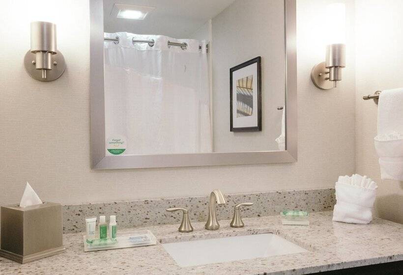スタンダードルーム, Holiday Inn And Suites East Peoria, An Ihg