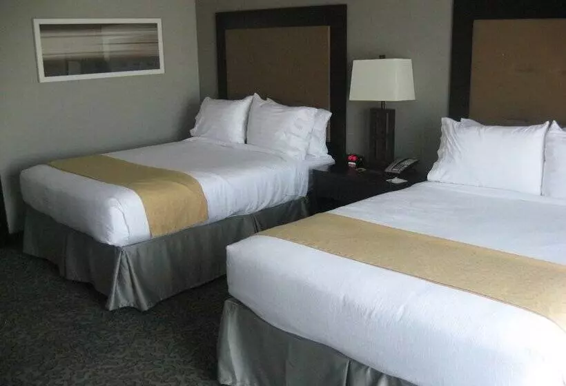 身障者適用スイートルーム, Holiday Inn And Suites East Peoria, An Ihg