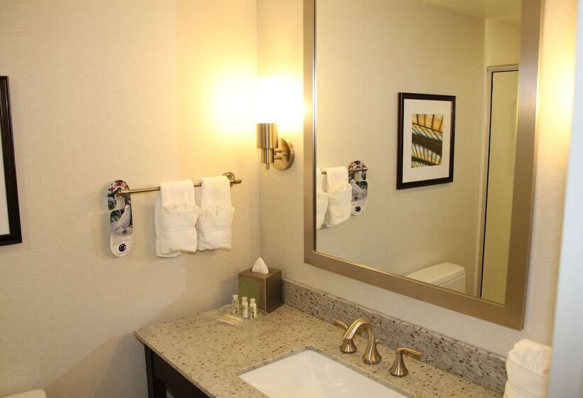 身障者適用スイートルーム, Holiday Inn And Suites East Peoria, An Ihg