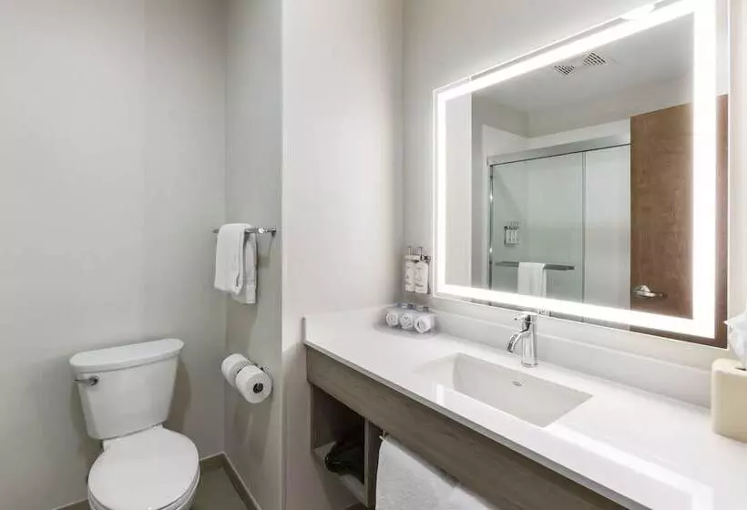 スイート, Holiday Inn Express Belgrade Bozeman Area, An Ihg