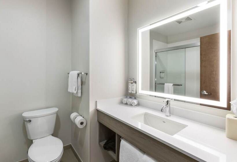 اتاق استاندارد با 2 تخت دوبل, Holiday Inn Express Belgrade Bozeman Area, An Ihg