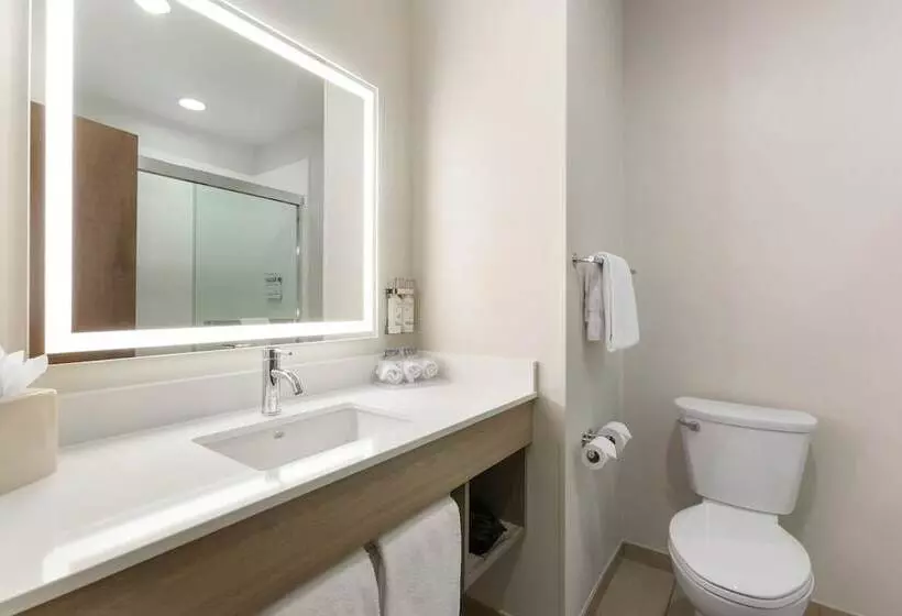 ２ダブルベッドのスタンダードルーム, Holiday Inn Express Belgrade Bozeman Area, An Ihg