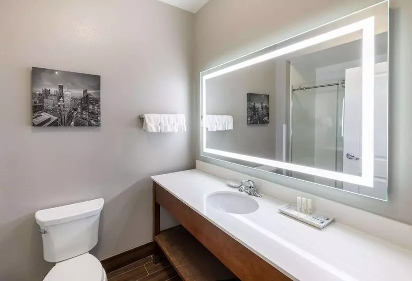 デラックスルーム, La Quinta By Wyndham Houston Nw Beltway8/westrd