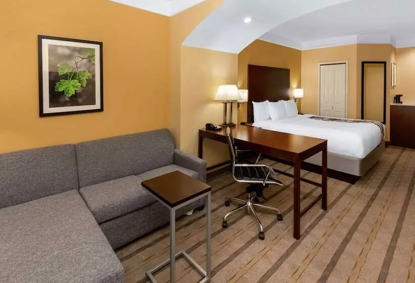 デラックスルーム, La Quinta By Wyndham Houston Nw Beltway8/westrd