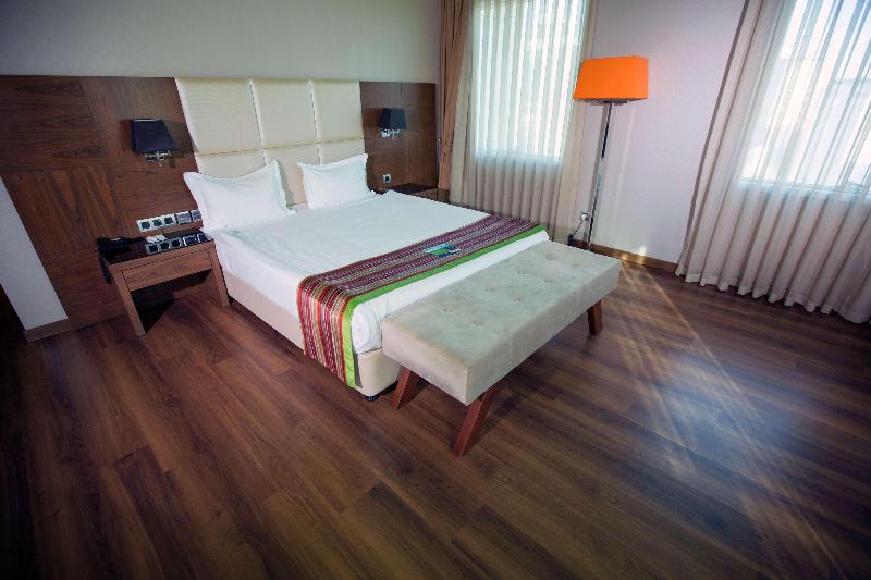 اتاق استاندارد, Park Inn By Radisson Istanbul Asia Kavacik
