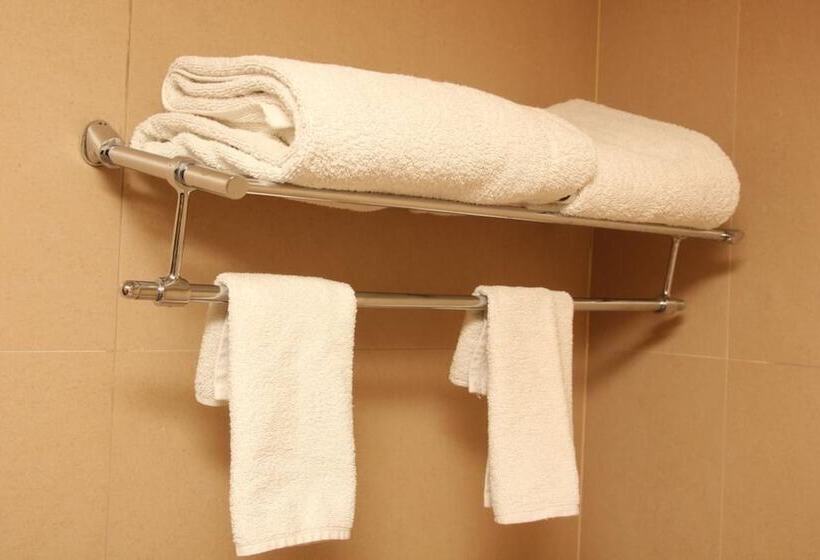 חדר ביזנס, The Aures