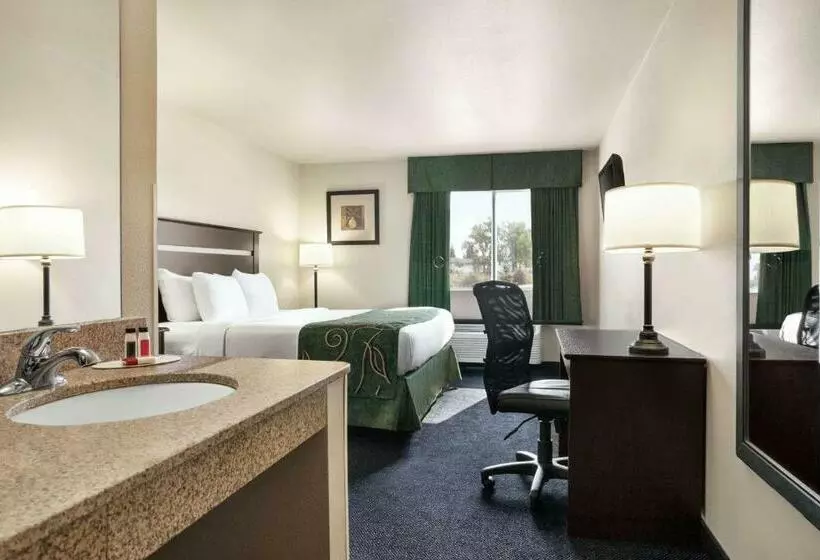 Standard-huone King-vuode, Travelodge By Wyndham Mcalester