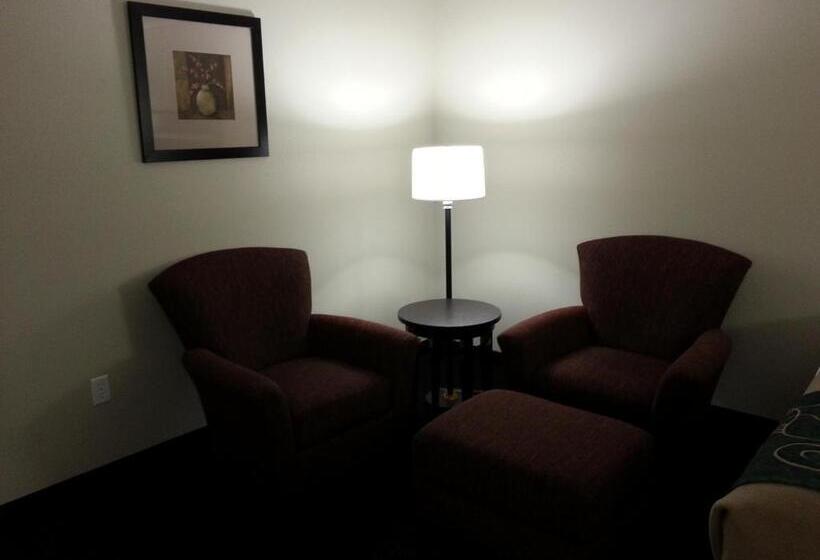 غرفة قياسية سرير كينج, Travelodge By Wyndham Mcalester