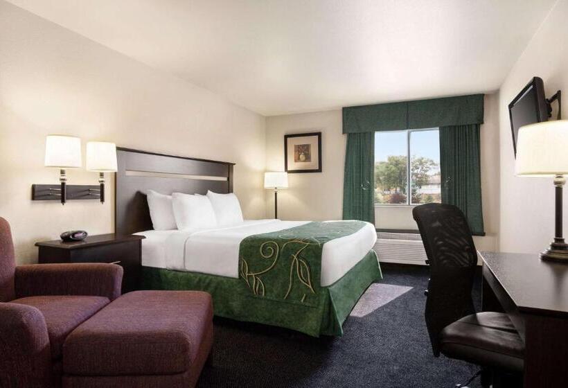 Номер Стандарт Кровать Кинг Адаптированный для Инвалидов, Travelodge By Wyndham Mcalester