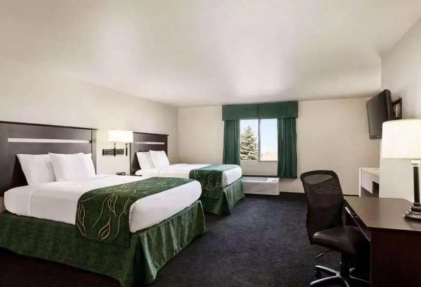 Deluxe-huone Soveltuu Liikuntarajoitteisille, Travelodge By Wyndham Mcalester