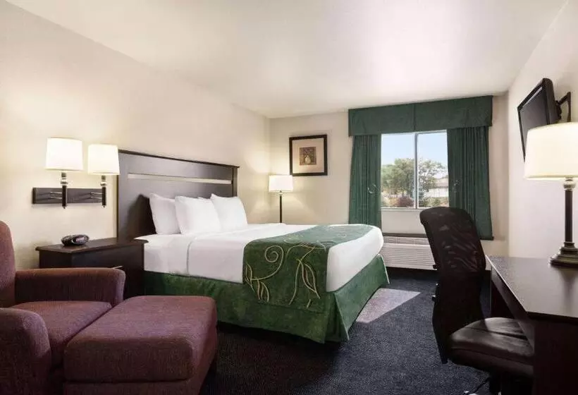 Standard-huone King-vuode, Travelodge By Wyndham Mcalester