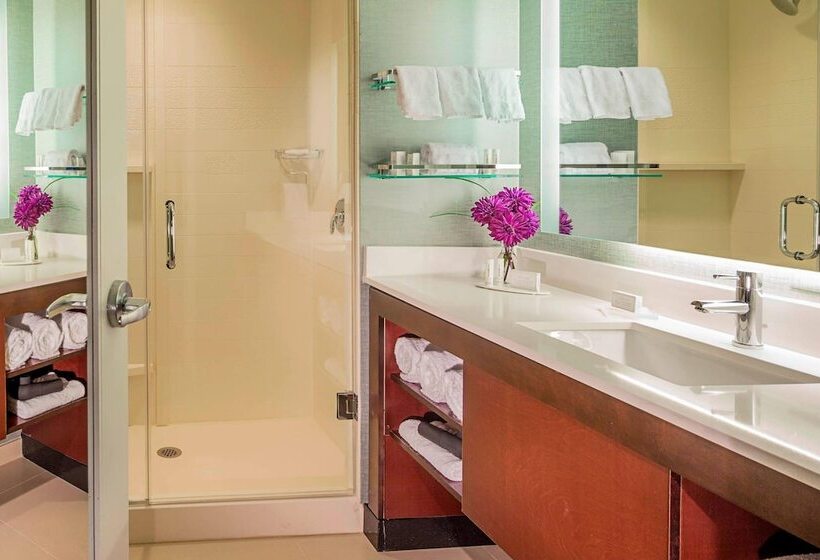 סוויטה, Residence Inn By Marriott Omaha Downtown Old Market Area