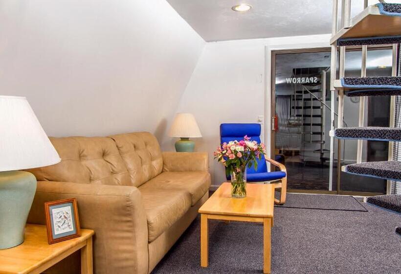 1间卧室的房子, The Even Tide