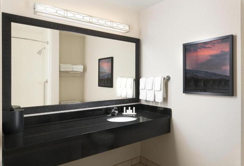 适合残疾人士使用的带超级大床的标准间, Fairfield By Marriott Inn & Suites Knoxville Turkey Creek