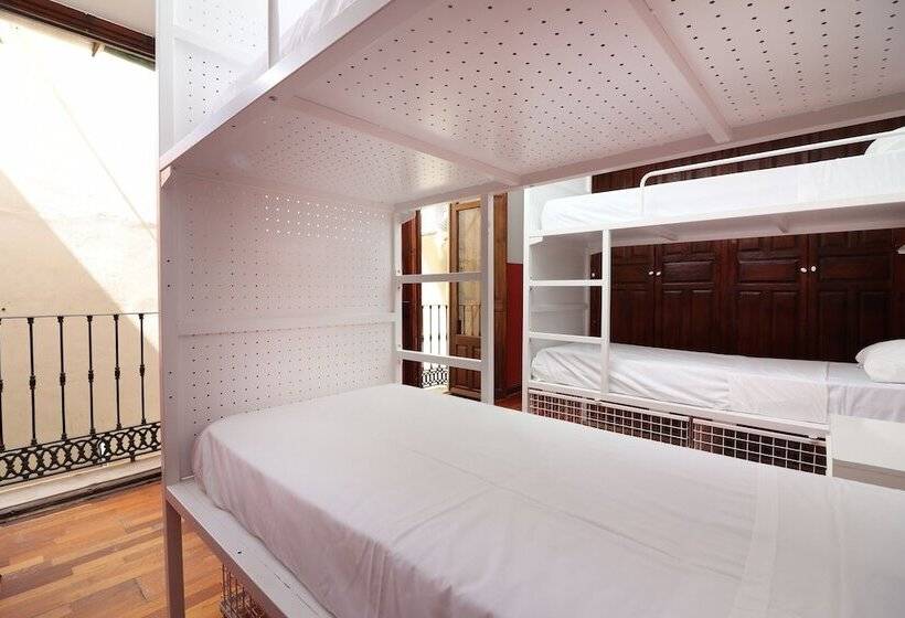 تختخواب در اتاق مشترک, Feel Hostels City Center