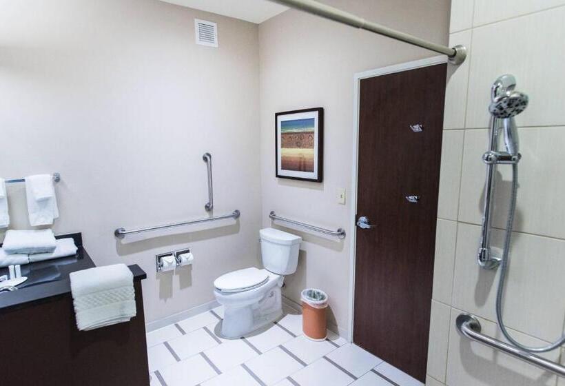스탠다드 룸 킹사이즈 침대, Fairfield Inn And Suites By Marriott Natchitoches