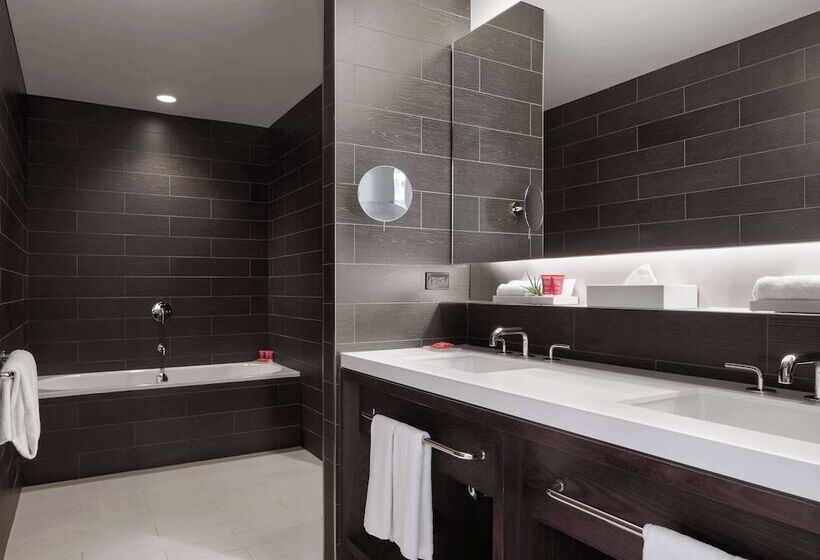 프리미엄 스위트, Hyatt Centric Times Square New York