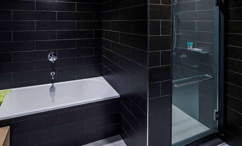 프리미엄 스위트, Hyatt Centric Times Square New York