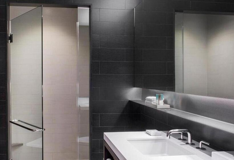 장애인을 위한 킹사이즈 침대 스탠다드 룸, Hyatt Centric Times Square New York