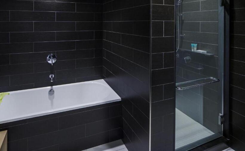 프리미엄 스위트, Hyatt Centric Times Square New York