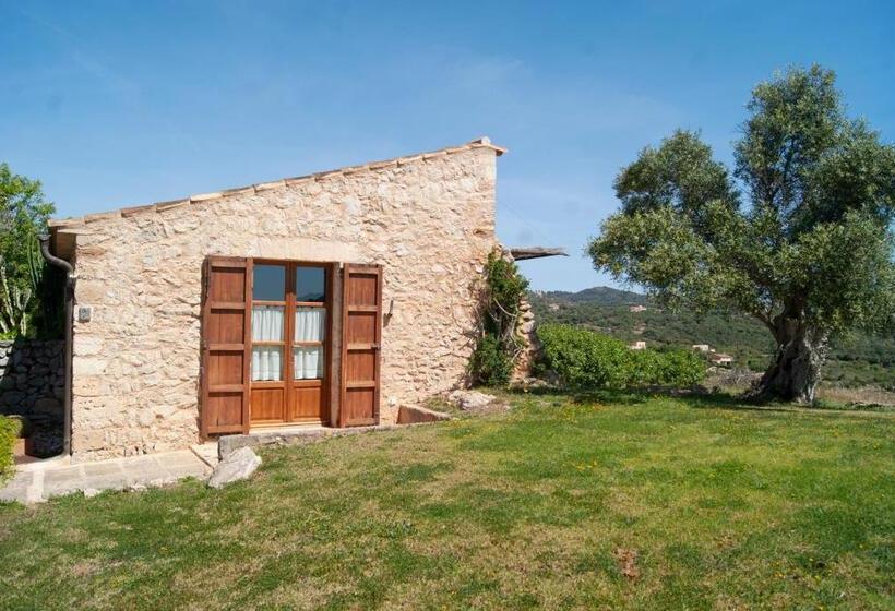 جناح جونيور مزوَّد بتراس, Agroturismo Ses Cases De Fetget