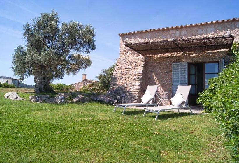 جناح جونيور مزوَّد بتراس, Agroturismo Ses Cases De Fetget