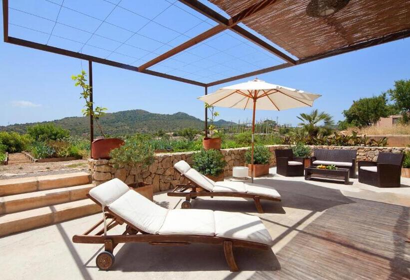 جناح سوبيريور, Agroturismo Ses Cases De Fetget