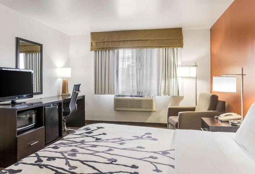 キングサイズベッドのスタンダードルーム, Sleep Inn