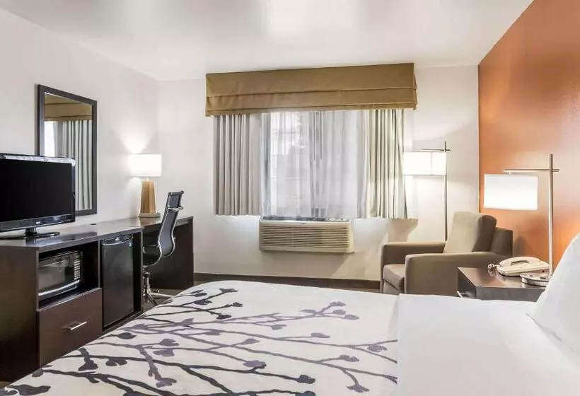 キングサイズベッドのスタンダードルーム, Sleep Inn