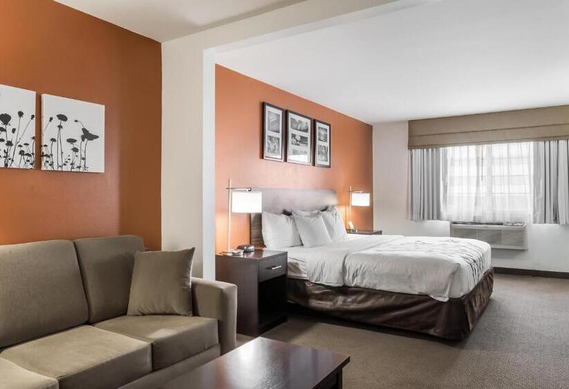 キングサイズベッドのスイートルーム, Sleep Inn