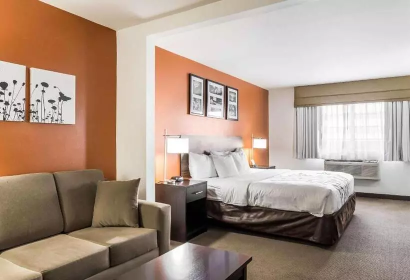 キングサイズベッドのスイートルーム, Sleep Inn