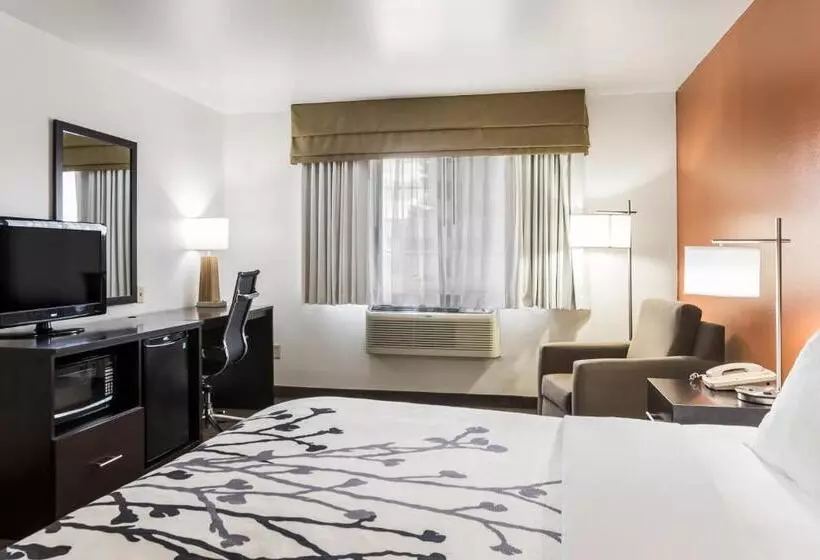 身障者適用キングサイズベッドルーム, Sleep Inn