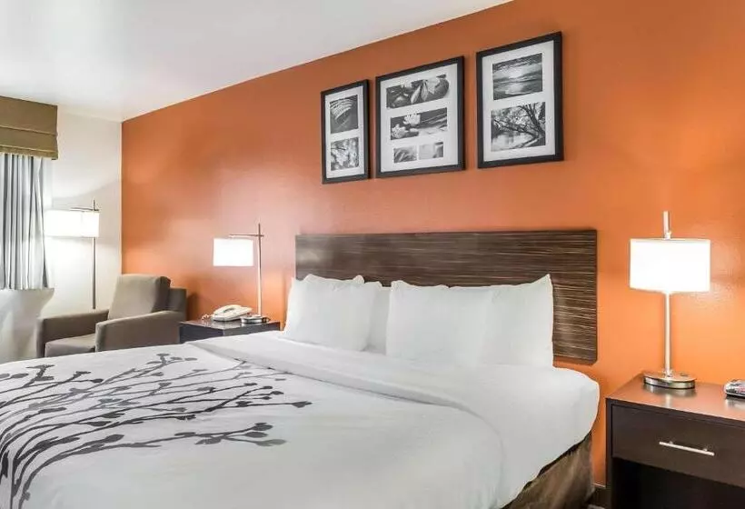 身障者適用キングサイズベッドルーム, Sleep Inn