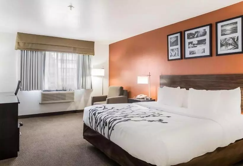 身障者適用キングサイズベッドルーム, Sleep Inn